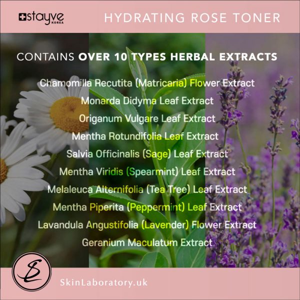Stayve pre facial treatment - Mild Cleansing Milk & Hydrating Rose Toner image 1