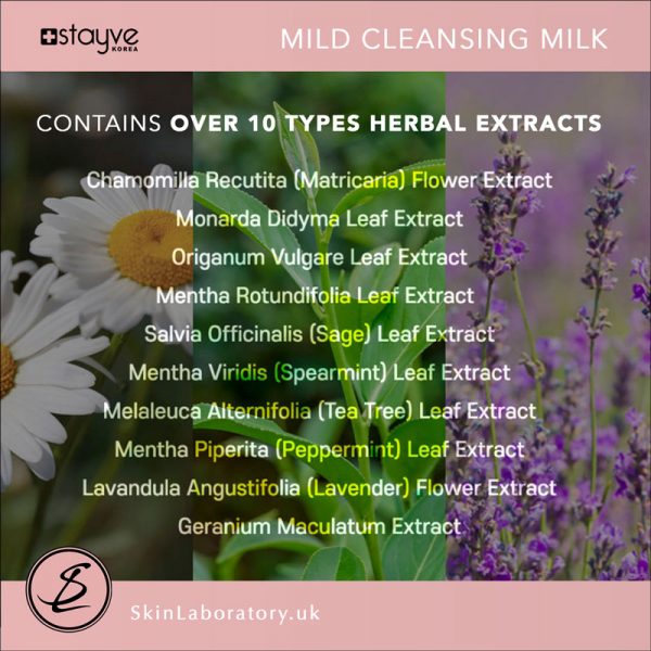 Stayve Mild Cleansing Milk image 1