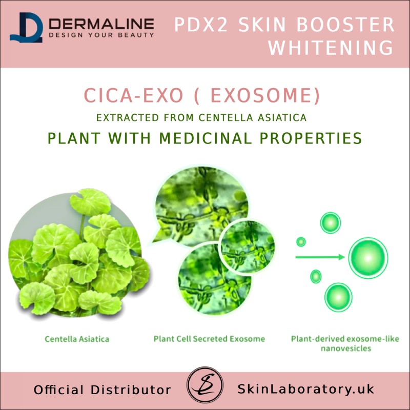 DERMALINE PDX2 Skin Booster Whitening image 2