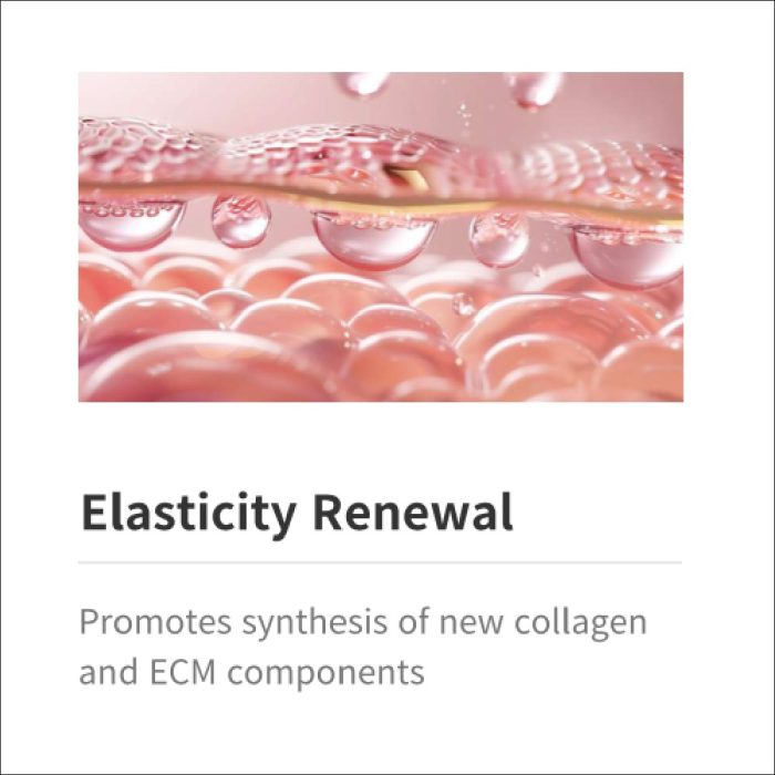 Medisco REGLORY RH COLLAGEN image 3
