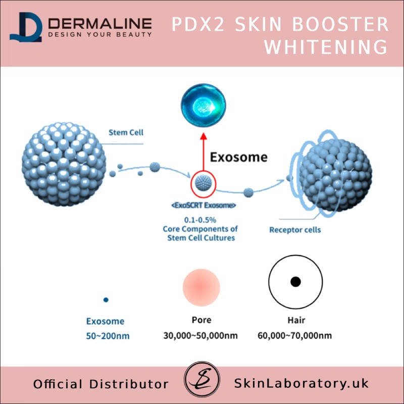 DERMALINE PDX2 Skin Booster Whitening image 3